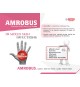 AMROBUS CREAM