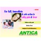 ANTICA Tab.
