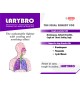 LARYBRO Syp. 100 ml