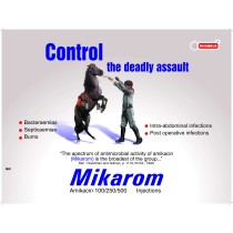 MIKAROM-250 Inj.