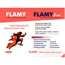 FLAMY Tab.