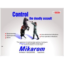 MIKAROM-100 Inj.