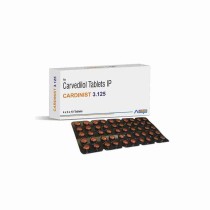 CARDINIST 3.125 CARDINIST 3.125